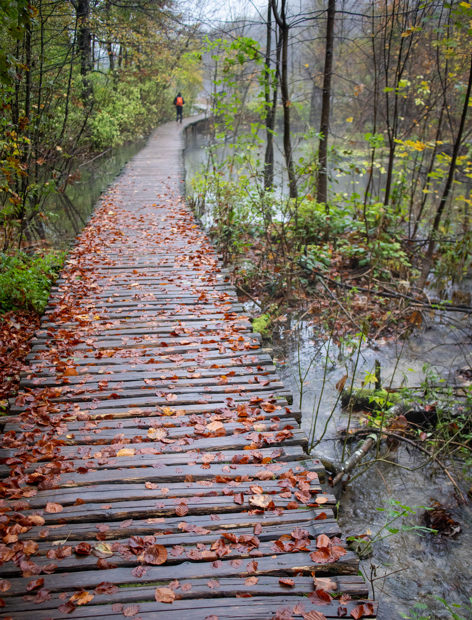 Day 29 – Plitvička Jezera, Croatia – Wandering around a magical cloud.